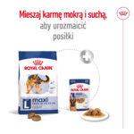 ROYAL CANIN Maxi Adult Karma dla psów 15 kg - obrazek 9