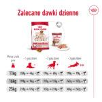 Royal Canin Medium Adult 15kg - obrazek 11