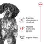 Royal Canin Medium Adult 15kg - obrazek 4