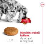 Royal Canin Medium Adult 15kg - obrazek 6