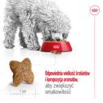 Karma Royal Canin Mini Adult 2kg - obrazek 7