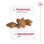 Royal Canin Mini Adult 8kg - obrazek 6