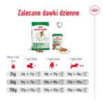 Royal Canin Mini Adult Karma dla psów 4kg - obrazek 12