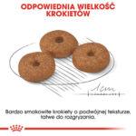ROYAL CANIN Mini Ageing 12+ Senior 1,5kg - obrazek 4