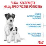 ROYAL CANIN Mini Starter dla Szczeniąt - obrazek 4