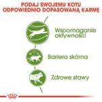 ROYAL CANIN Outdoor Karma dla Kotów 2kg - obrazek 4