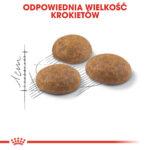 Royal Canin Outdoor karma dla kotów 4kg - obrazek 5