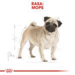 Karma ROYAL CANIN Pug Adult 1,5kg - obrazek 3