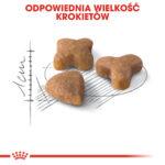 ROYAL CANIN Sensible 33 Karma dla Kotów 4kg - obrazek 7