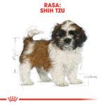 Royal Canin Shih Tzu Puppy 1,5 kg - obrazek 5
