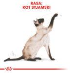 ROYAL CANIN Siamese Adult 2kg - obrazek 2