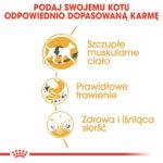 ROYAL CANIN Siamese Adult 2kg - obrazek 4
