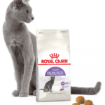 ROYAL CANIN Sterilised 37 karma 2kg
