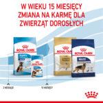 Royal Canin Maxi Puppy Duże Rasy 15kg - obrazek 8