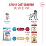 ROYAL CANIN Karma dla Szczeniąt Medium 15kg - obrazek 10
