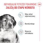 ROYAL CANIN Karma dla Szczeniąt Medium 15kg - obrazek 4