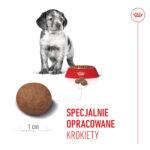 ROYAL CANIN Karma dla Szczeniąt Medium 15kg - obrazek 5