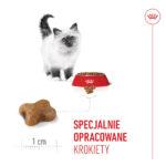 ROYAL CANIN Karma dla Kociąt 2kg - obrazek 3