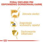 ROYAL CANIN Yorkshire Terrier Adult 7,5 kg - obrazek 5