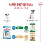 Karma dla szczeniąt Royal Canin Mini - obrazek 9