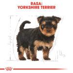 Karma Royal Canin Yorkshire Terrier Puppy 7,5kg - obrazek 6