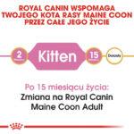 Karma Royal Canin Maine Coon Kitten 2kg - obrazek 3