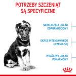 Royal Canin Maxi Puppy 4kg - obrazek 4