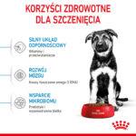 Royal Canin Maxi Puppy 4kg - obrazek 5