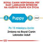 Royal Canin Labrador Puppy 12kg - obrazek 4