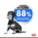 Royal Canin Mini Light Weight Care 3kg - obrazek 9
