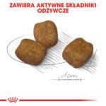 Royal Canin Mini Dental Care 8kg - obrazek 4