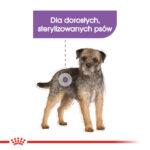 Royal Canin Mini Sterilised 3kg - obrazek 3