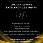 PURINA Karma Stawowa JM dla Psa 12kg - obrazek 3