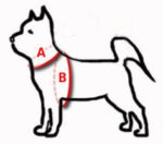 Szelki Odblaskowe Dingo Reflex Step-In - obrazek 2