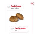 Royal Canin Maxi Adult Karma 4kg - obrazek 6