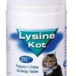 Scanvet Lysine Wzmacnia Odporność Kotów 50ml