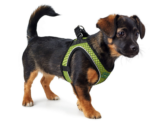 Szelki Hunter Hilo Comfort S Limonka - obrazek 3