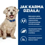 Hill's PD u/d Karma dla psa 4kg - obrazek 5