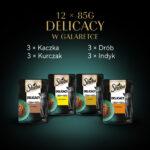 Sheba Delicacy Smaki Drobiowe 12x85g - obrazek 12
