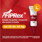 Fiprex L Krople dla Psa (20-40kg) - obrazek 4