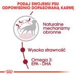 Royal Canin Karma Medium Adult 4kg - obrazek 4