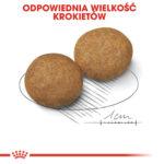 Royal Canin Karma Medium Adult 4kg - obrazek 5
