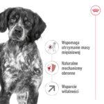 ROYAL CANIN Medium Adult 7+ 15kg - obrazek 3