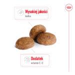 ROYAL CANIN Medium Adult 7+ 15kg - obrazek 4