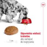 ROYAL CANIN Medium Adult 7+ 15kg - obrazek 5