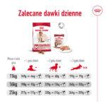 ROYAL CANIN Medium Adult 7+ 15kg - obrazek 9
