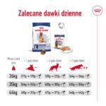 Royal Canin Maxi Adult 5+ 15kg - obrazek 11