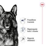Royal Canin Maxi Adult 5+ 15kg - obrazek 4