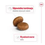 Royal Canin Maxi Adult 5+ 15kg - obrazek 5