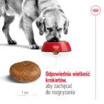 Royal Canin Maxi Adult 5+ 15kg - obrazek 6